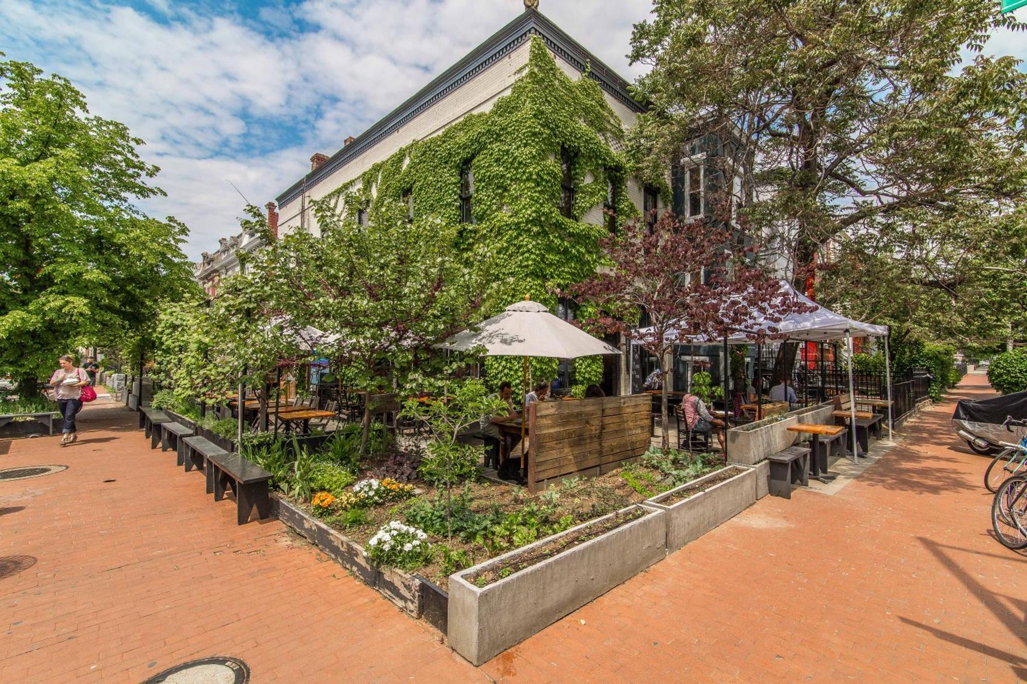 Stylish Renovated Flat, Central, Walk To Dc Sights Washington Exterior foto